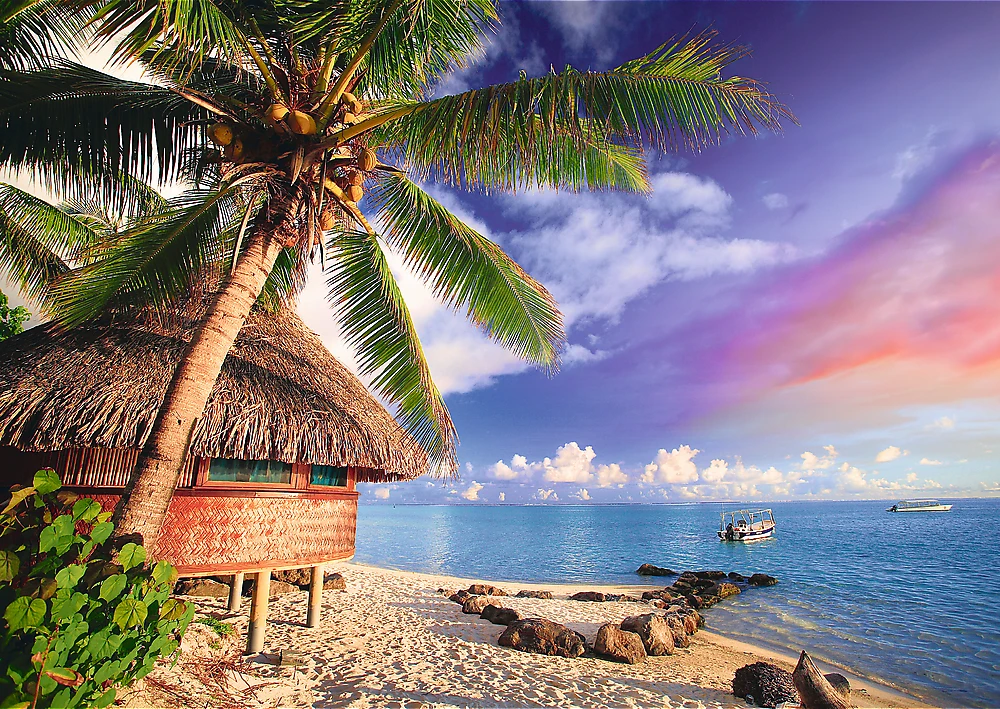 Trefl Dėlionė 500 vnt. - Bora Bora