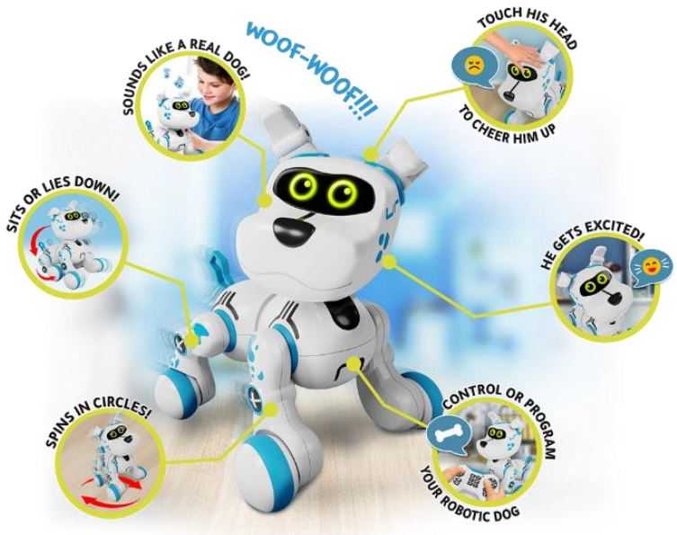 Xtrem Bots Roboty XTREM BOTS XTREAM BOTS Interaktyvus robotas „Bobby“