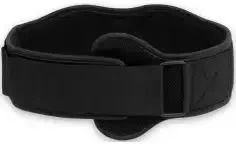 Biotech Fitness Belt With Velcro (L )