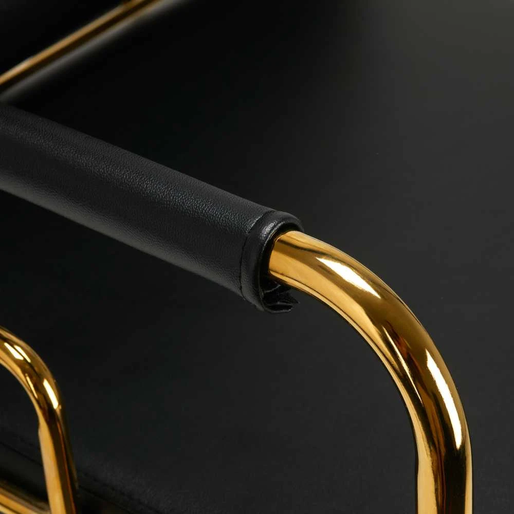 Activeshop Kirpyklos plautuvė GABBIANO PROFESSIONAL HAIRWASHER PRATO GOLD Juodas