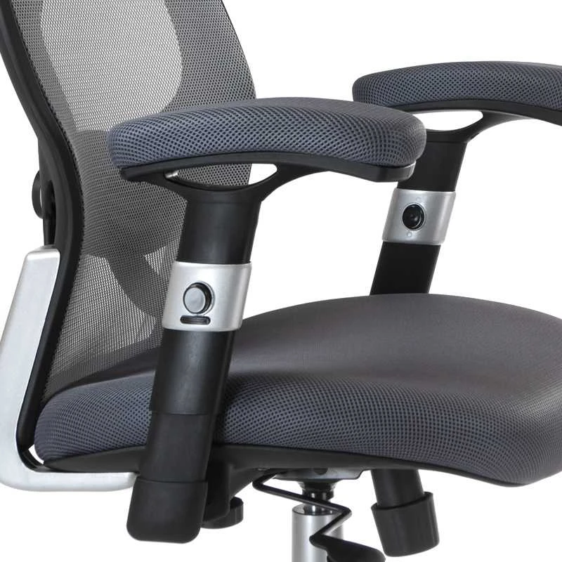 Beauty System Ergonominė biuro kėdė CorpoComfort BX-4144 Pilkas