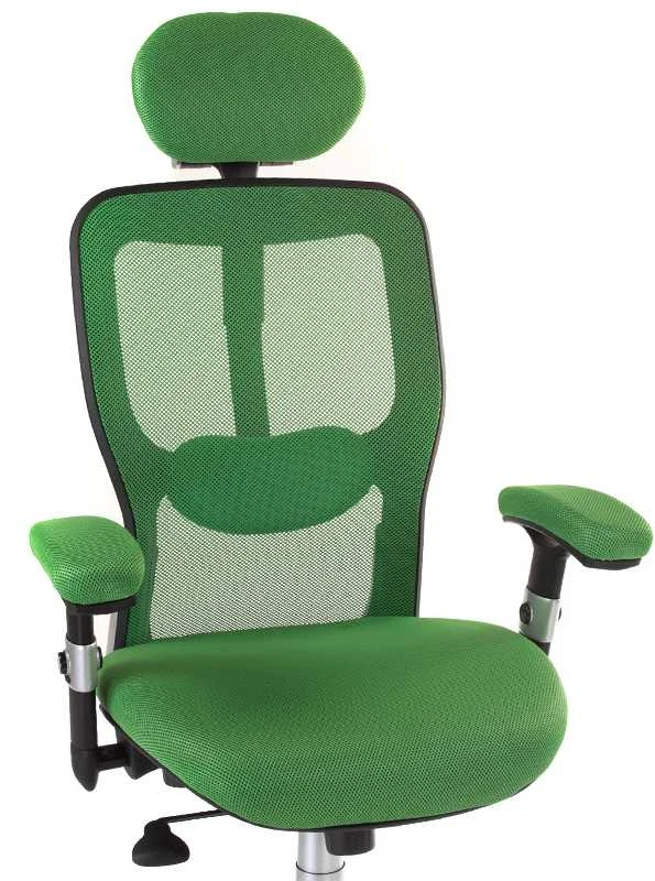 Beauty System Ergonominė biuro kėdė CorpoComfort BX-4147 Žalias