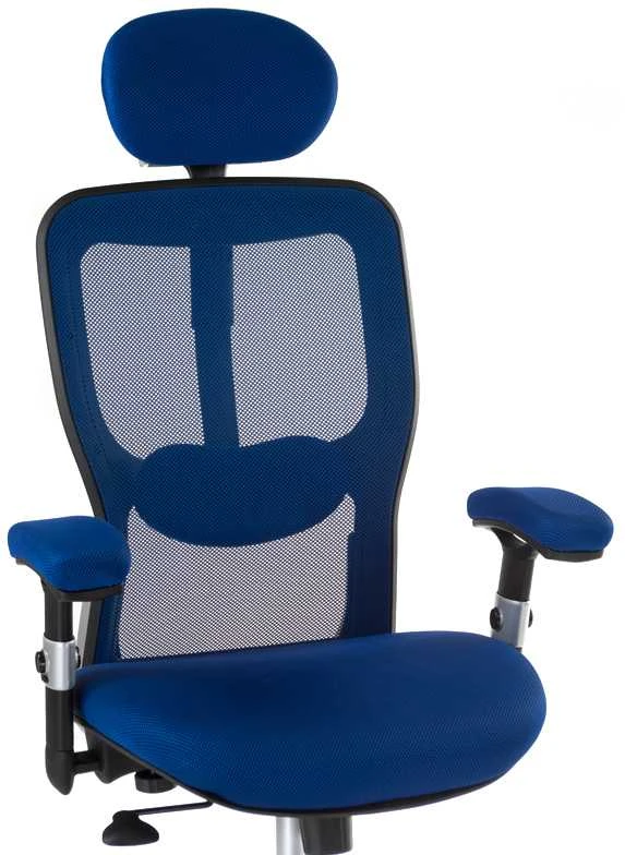 Beauty System Ergonominė biuro kėdė CorpoComfort BX-4147 Mėlyna