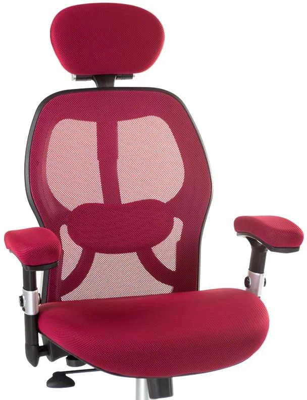 Beauty System Ergonominė biuro kėdė CorpoComfort BX-4144 Raudona