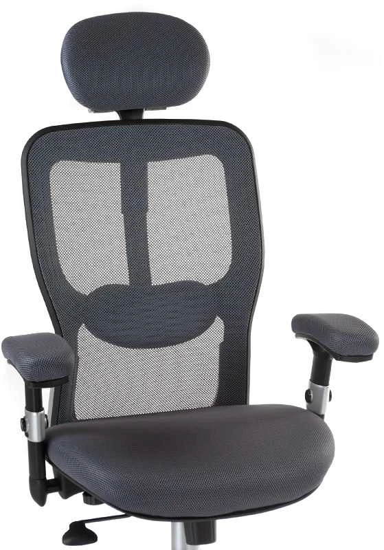 Beauty System Ergonominė biuro kėdė CorpoComfort BX-4147 Pilkas