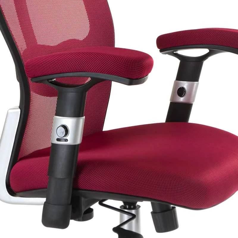 Beauty System Ergonominė biuro kėdė CorpoComfort BX-4147 Raudona