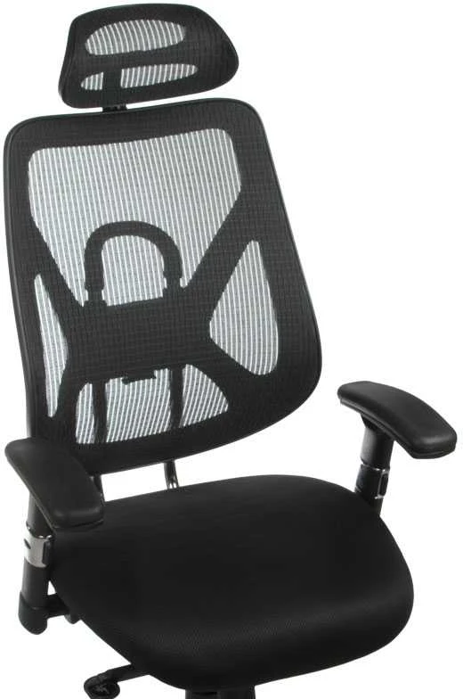Beauty System Ergonominė biuro kėdė CorpoComfort BX-W4310 Juodas