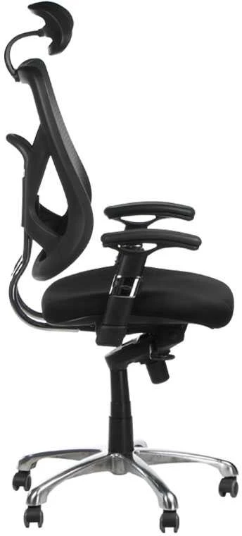 Beauty System Ergonominė biuro kėdė CorpoComfort BX-W4310 Juodas