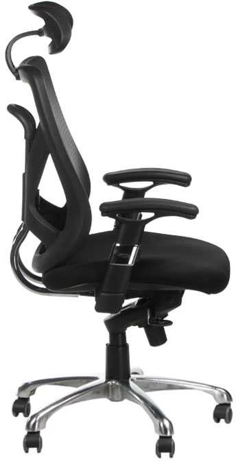 Beauty System Ergonominė biuro kėdė CorpoComfort BX-W4310 Juodas