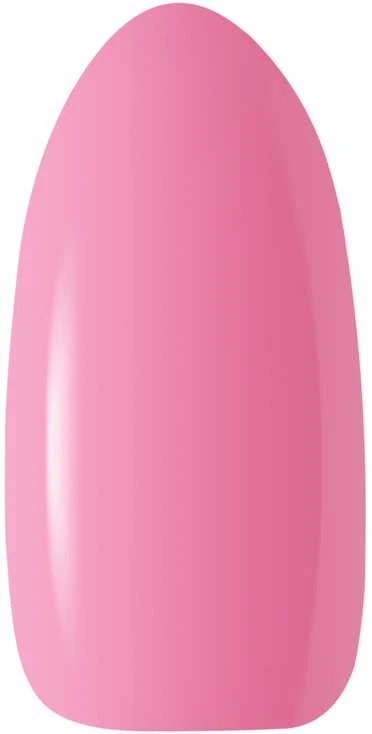 Activeshop Hibridinis nagų lakas Ocho, 317, 5 g