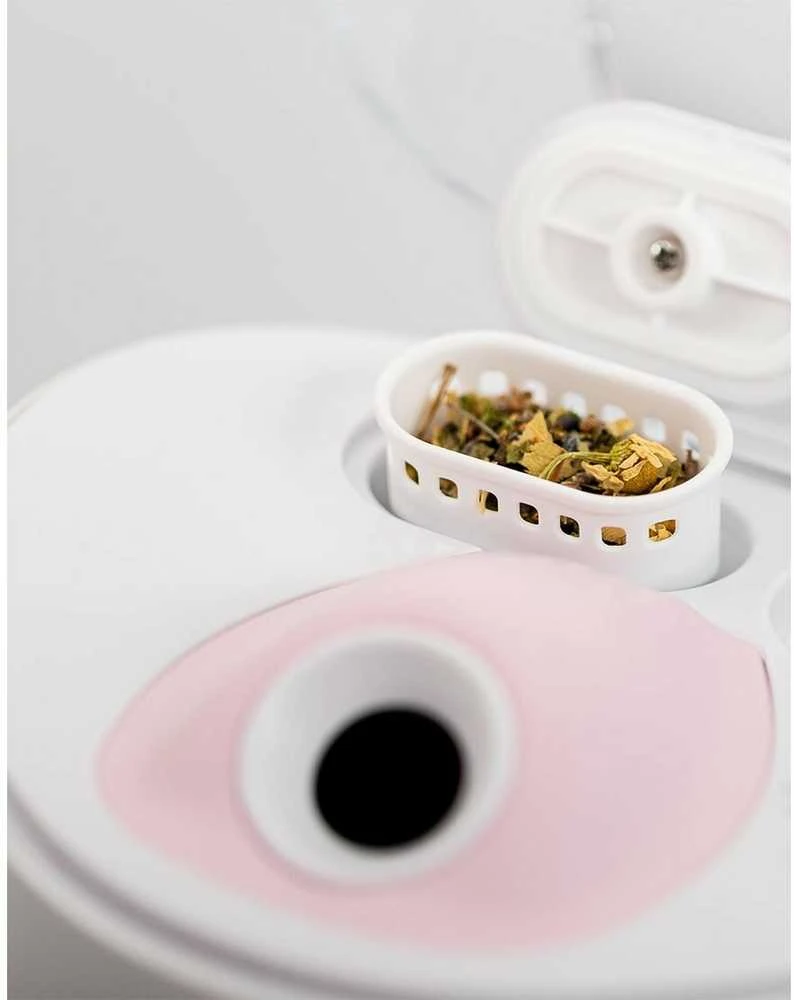 Veido garintuvas Lanaform Luxury Facial Steamer