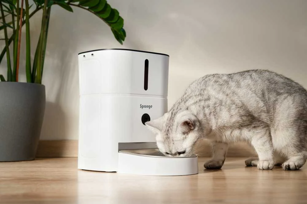Išmanus maisto dozatorius Sponge Pet Feeder Smart Camera, baltas
