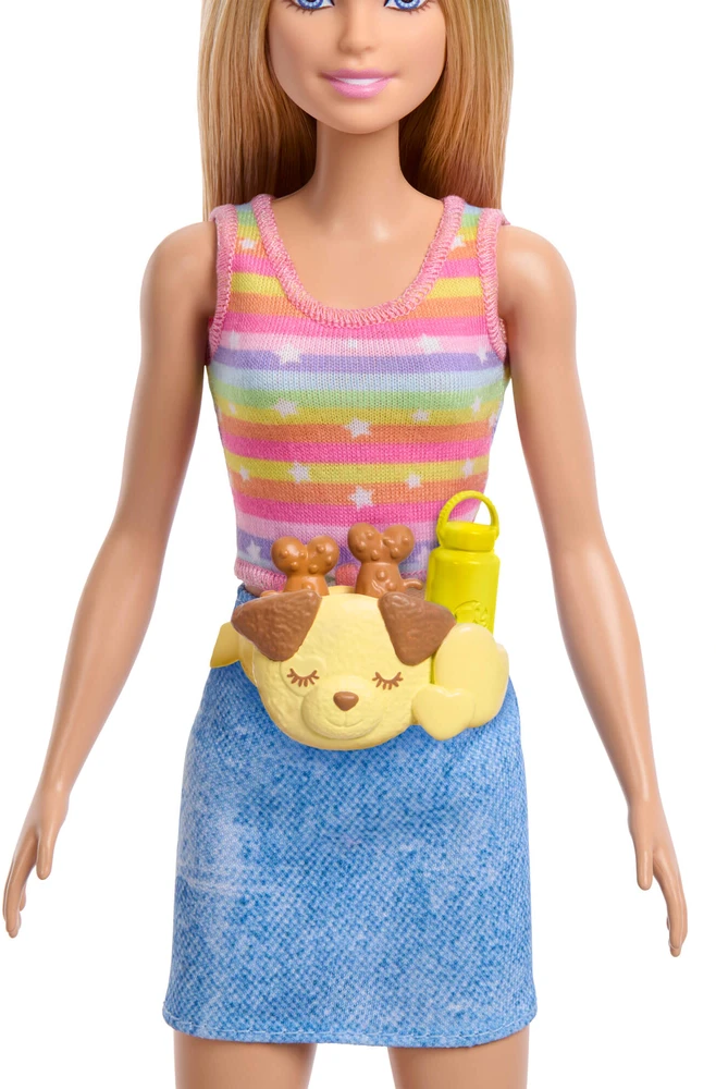 Mattel Lėlė Barbie su riedučiais ir šuniuku