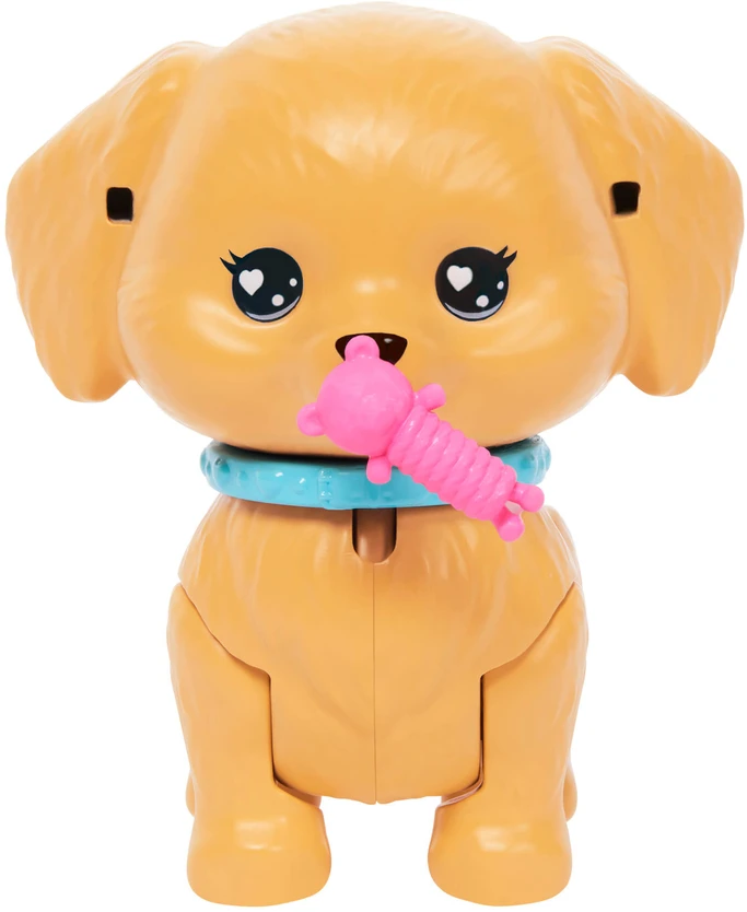 Mattel Lėlė Barbie su riedučiais ir šuniuku