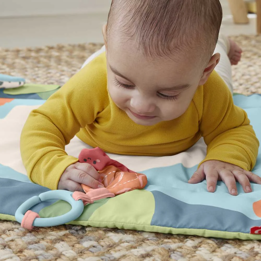 Mattel FISHER-PRICE veiklos kilimėlis – Panda (HKD65)