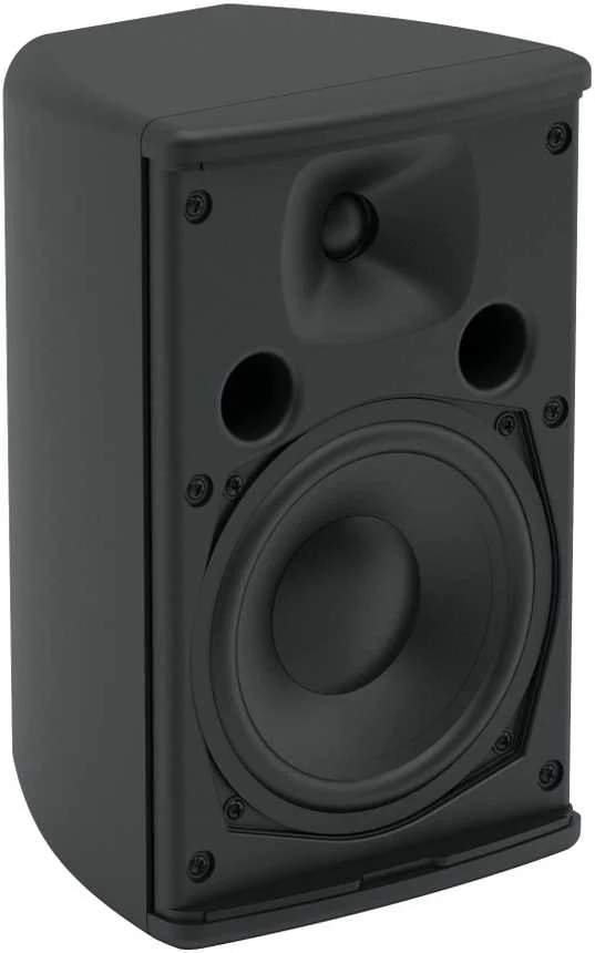 Juodas Martin Audio A55 garsiakalbis