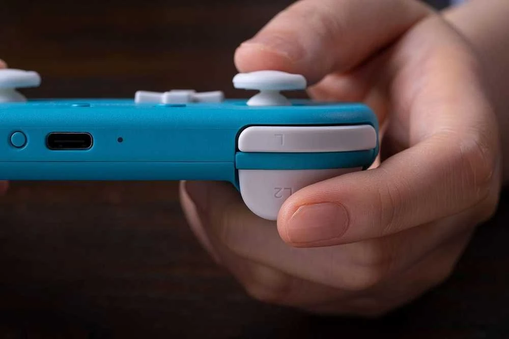8BitDo Lite 2 belaidis pultelis | BT, USB-C | Switch, Android