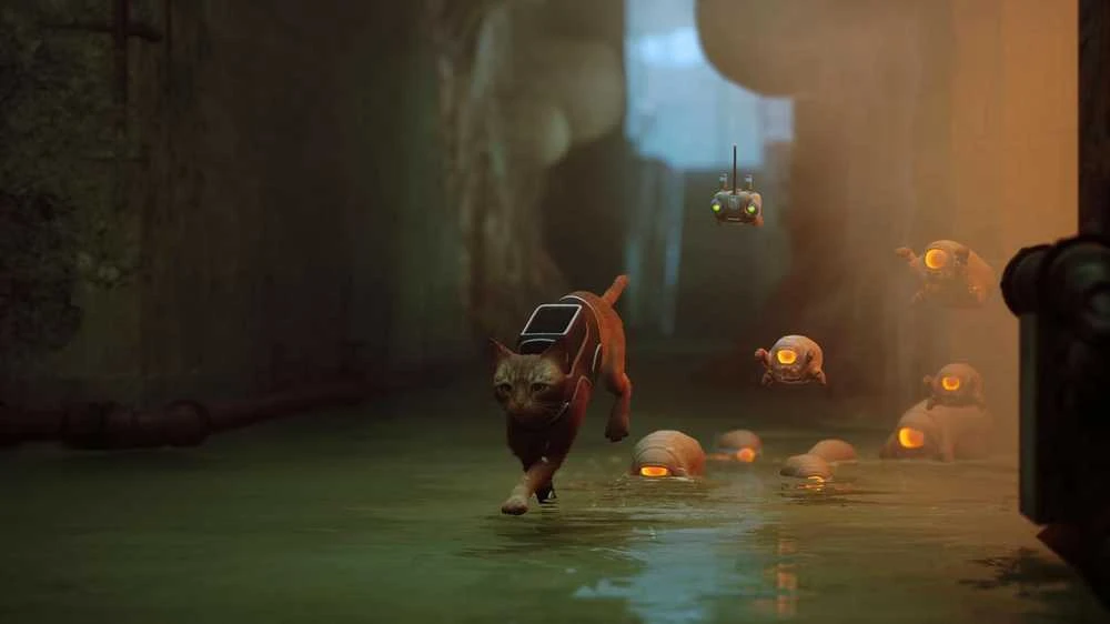 Annapurna Interactive Annapurna interaktyvus paklydė