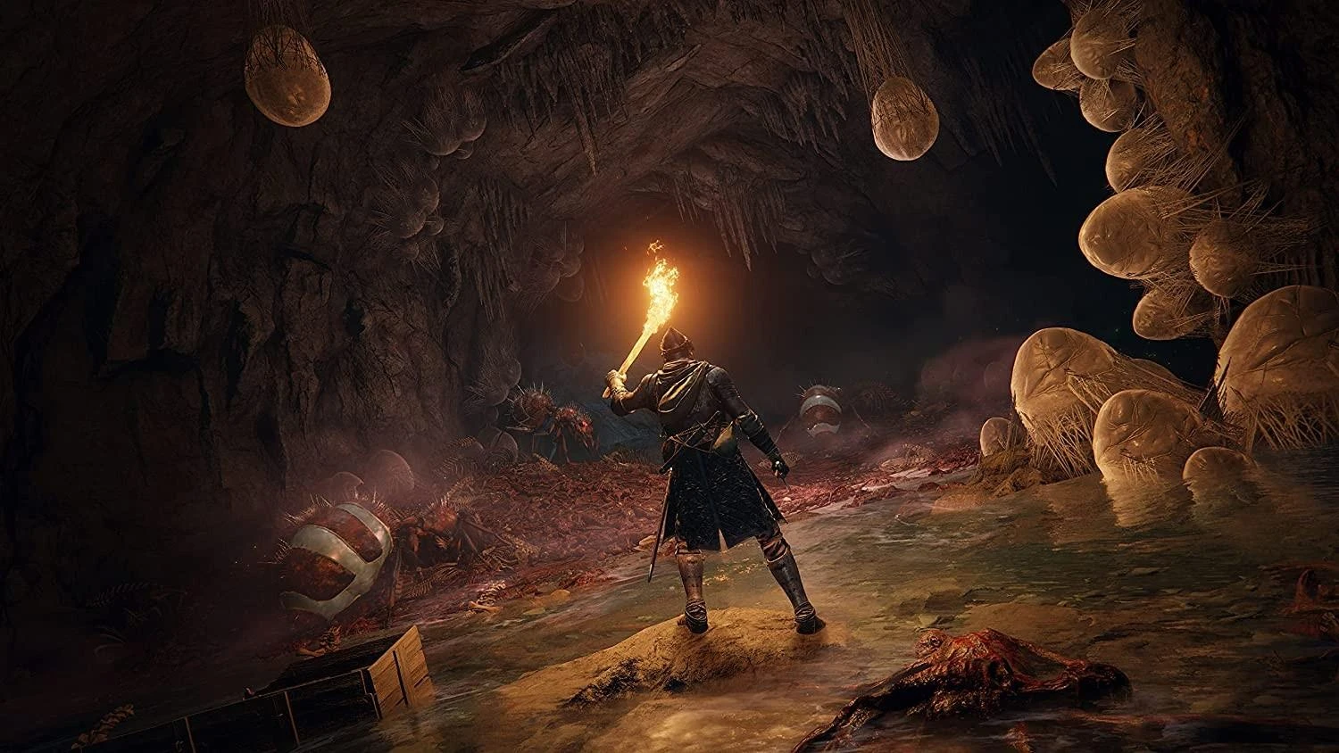 Bandai Namco Elden Ring PS5