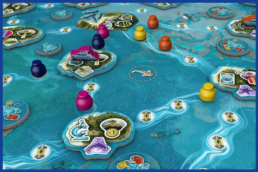 Board&Dice Reef Project