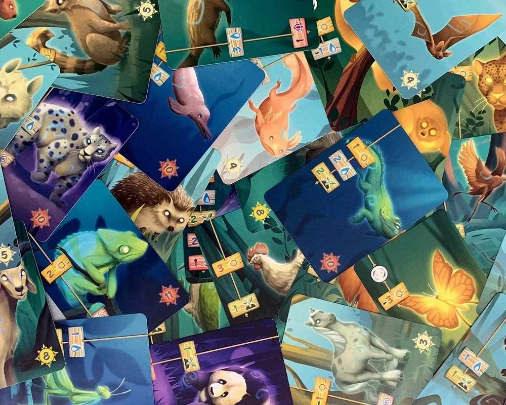 Brain Games Gyvasis miškas – smegenų žaidimai | LT/LV/EE