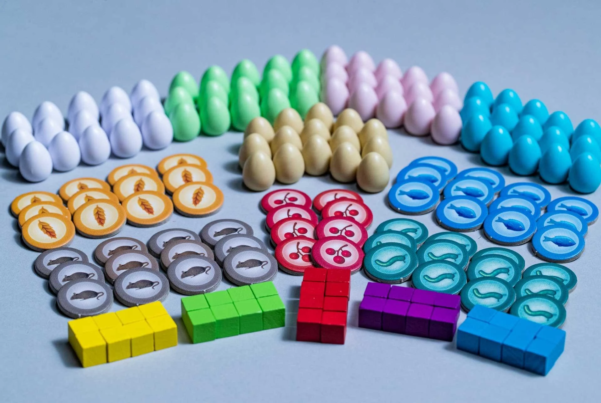 Brain Games Spārnotie | LV