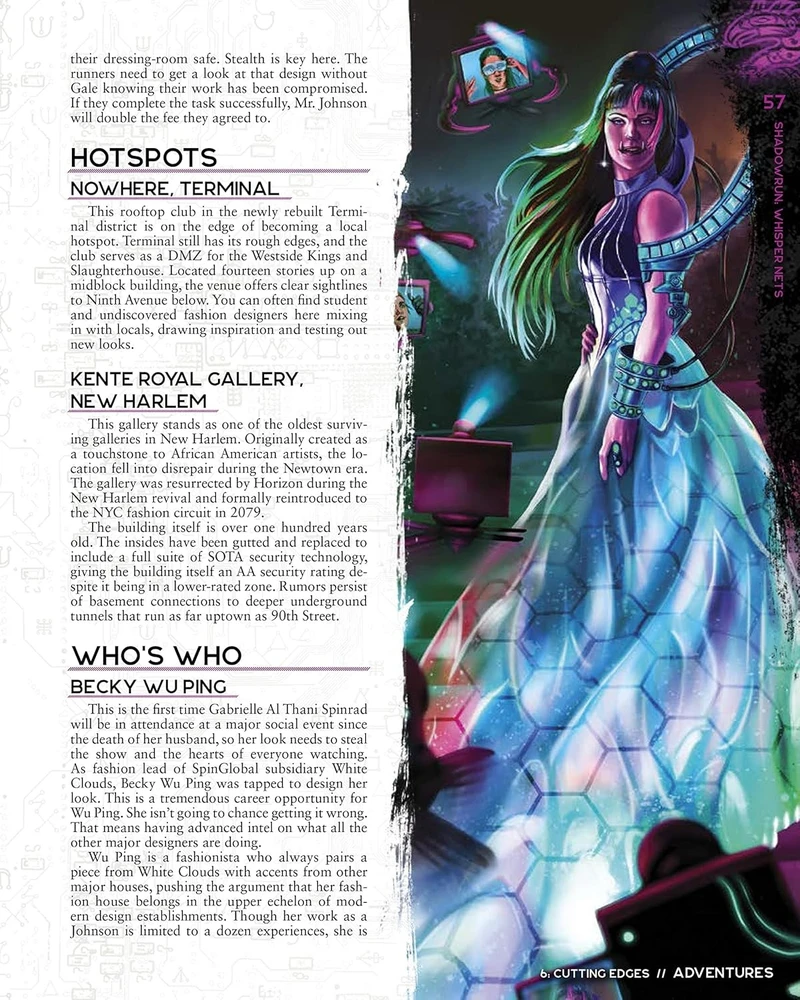 Catalyst Game Labs Shadowrun Whisper Nets knyga