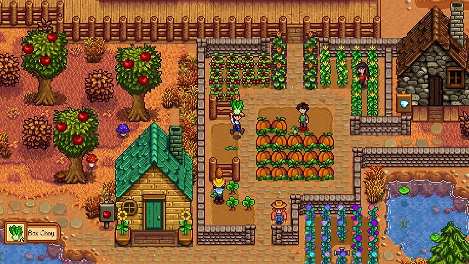 Chucklefish Stardew Valley