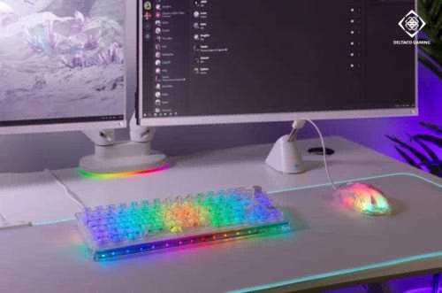 Mechaninė DELTACO GAMING klaviatūra,US išdėstymas, permatoma, RGB / 4222267 / GAM-160-T-US