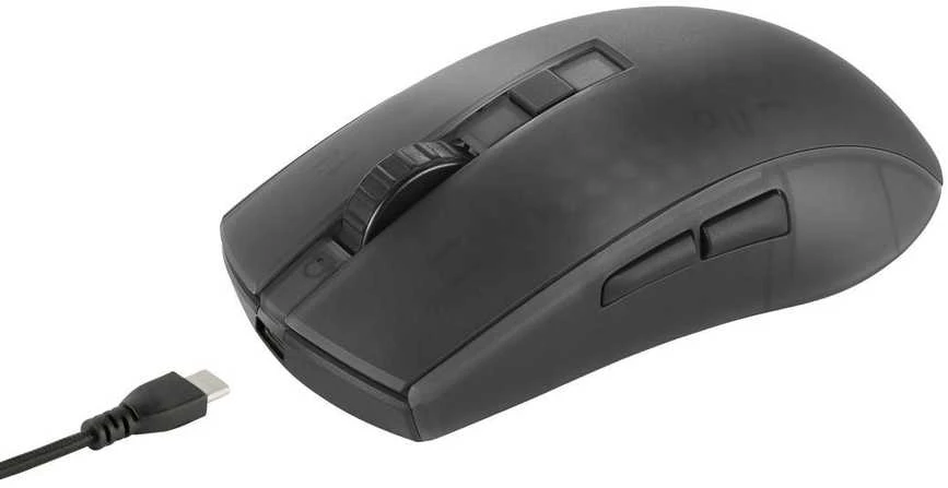 Belaidė pusiau permatoma DELTACO GAMING žaidimų pelė, DM320, RGB, itin lengva, juoda / GAM-145