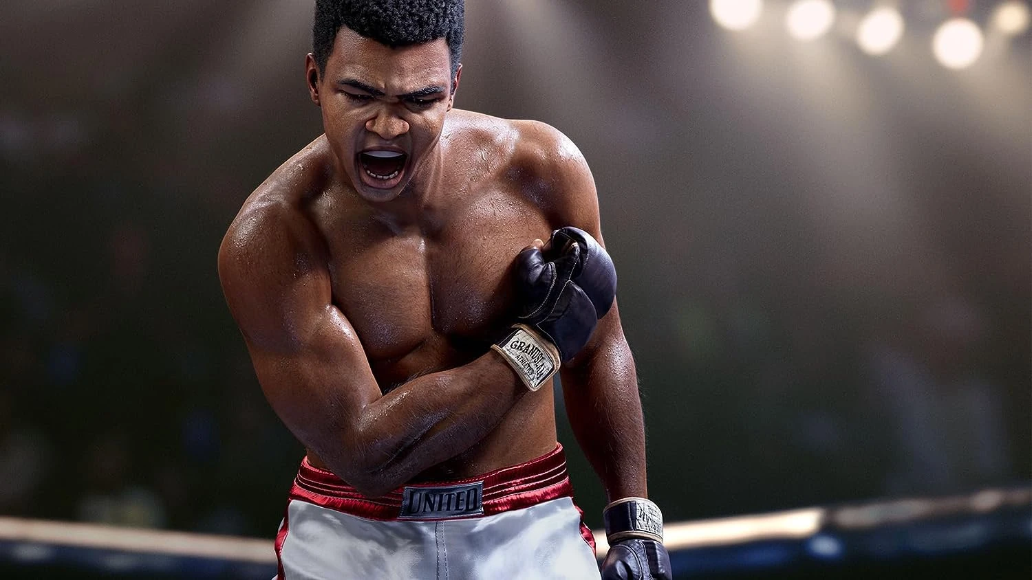 Electronic Arts EA SPORTS UFC 5 PS5 aprašymas - Prekės nuotrauka Electronic Arts EA SPORTS UFC 5 PS5 aprašymas - Prekės nuotrauka