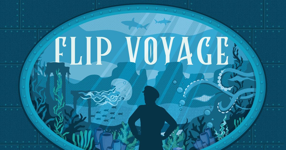 Write Stuff Games Flip Voyage aprašymas - Prekės nuotrauka