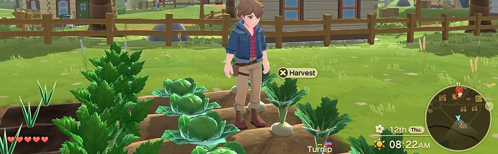 Numskull Harvest Moon Anthos PS5 vėjai aprašymas - Prekės nuotrauka