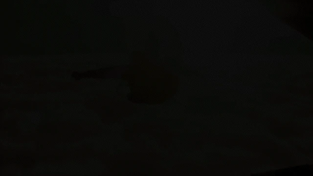 „Konami Metal Gear Solid Delta: Snake Eater Deluxe Edition“ Xbox Series X aprašymas - Prekės nuotrauka