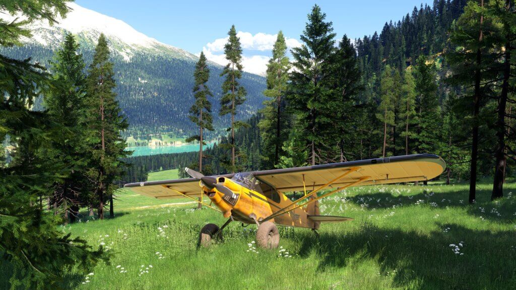 XBOX Game Studios Microsoft Flight Simulator 2024 PS5 aprašymas - Prekės nuotrauka