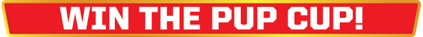 Outright Games Paw Patrol Grand Prix Complete Edition aprašymas - Prekės nuotrauka