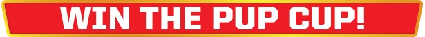 „Outright Games Paw Patrol Grand Prix“. aprašymas - Prekės nuotrauka