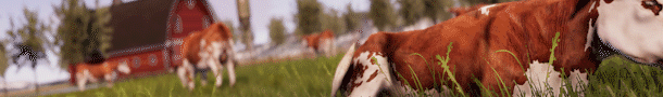 real-farm-premium-edition-nsw