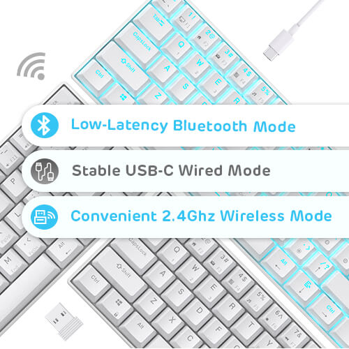 Royal Kludge RK61 klaviatūra | 60%, Hot-swap, Mėlyna Switches, US, juoda aprašymas - Prekės nuotrauka