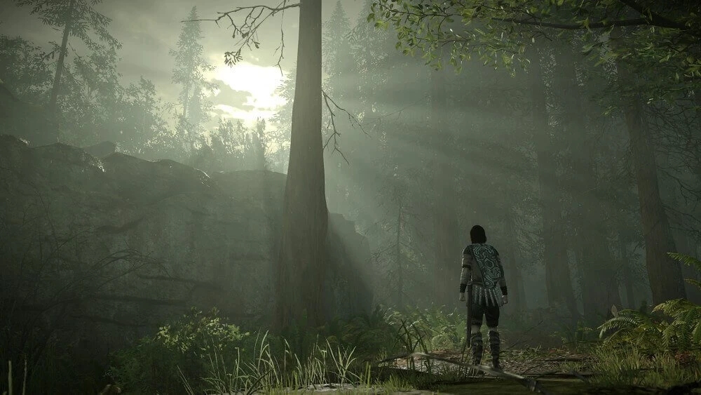 Sony Shadow of the Colossus PS4 aprašymas - Prekės nuotrauka