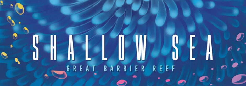 shallow-sea