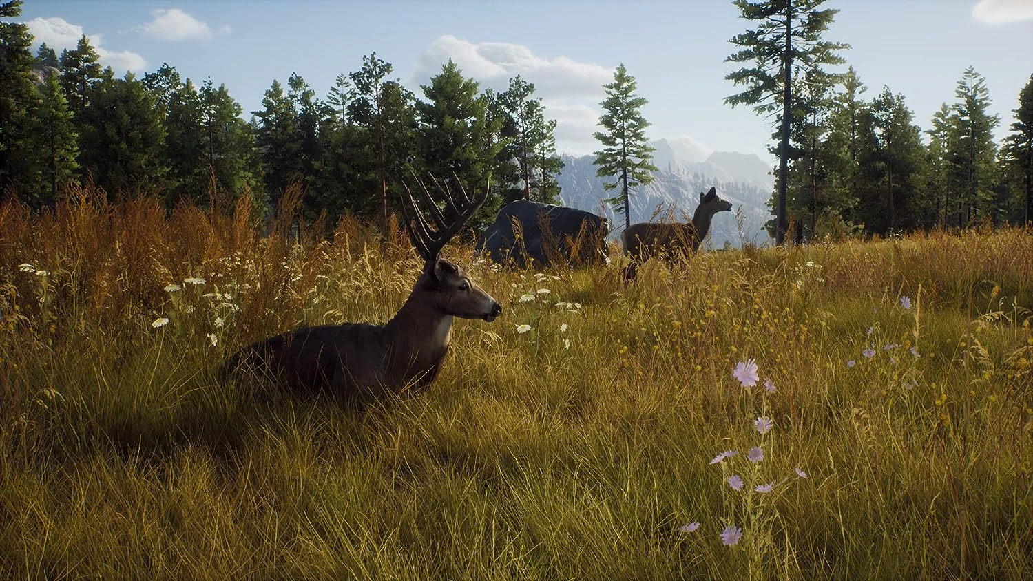 Thq Nordic Way of the Hunter PS5 aprašymas - Prekės nuotrauka Thq Nordic Way of the Hunter PS5 aprašymas - Prekės nuotrauka