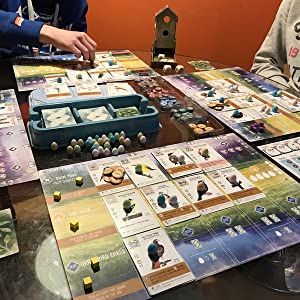 Enigma Stonemaier Games Wingspan aprašymas - Prekės nuotrauka