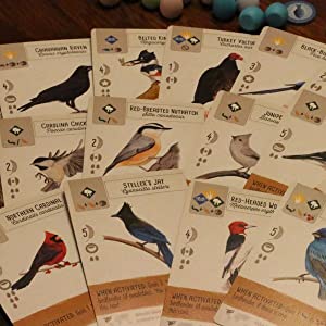 Enigma Stonemaier Games Wingspan aprašymas - Prekės nuotrauka