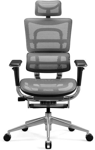 Ergonominė žaidimų/biuro kėdė Diablo V-Master, Juoda-pilka