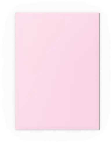 Dragon Shield Standard Sleeves - Matte Dual - Blossom (100 Vienetų)