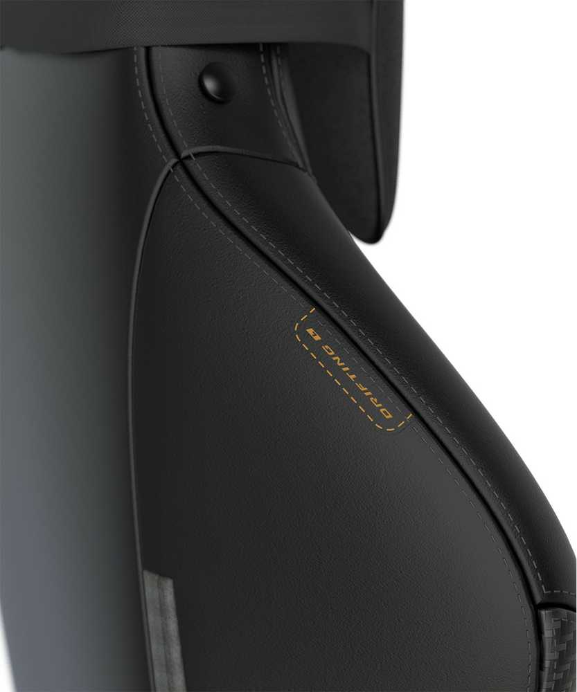 Ergonominė biuro ir žaidimų kėdė DXRacer DRIFTING L, EPU oda, juodos spalvos