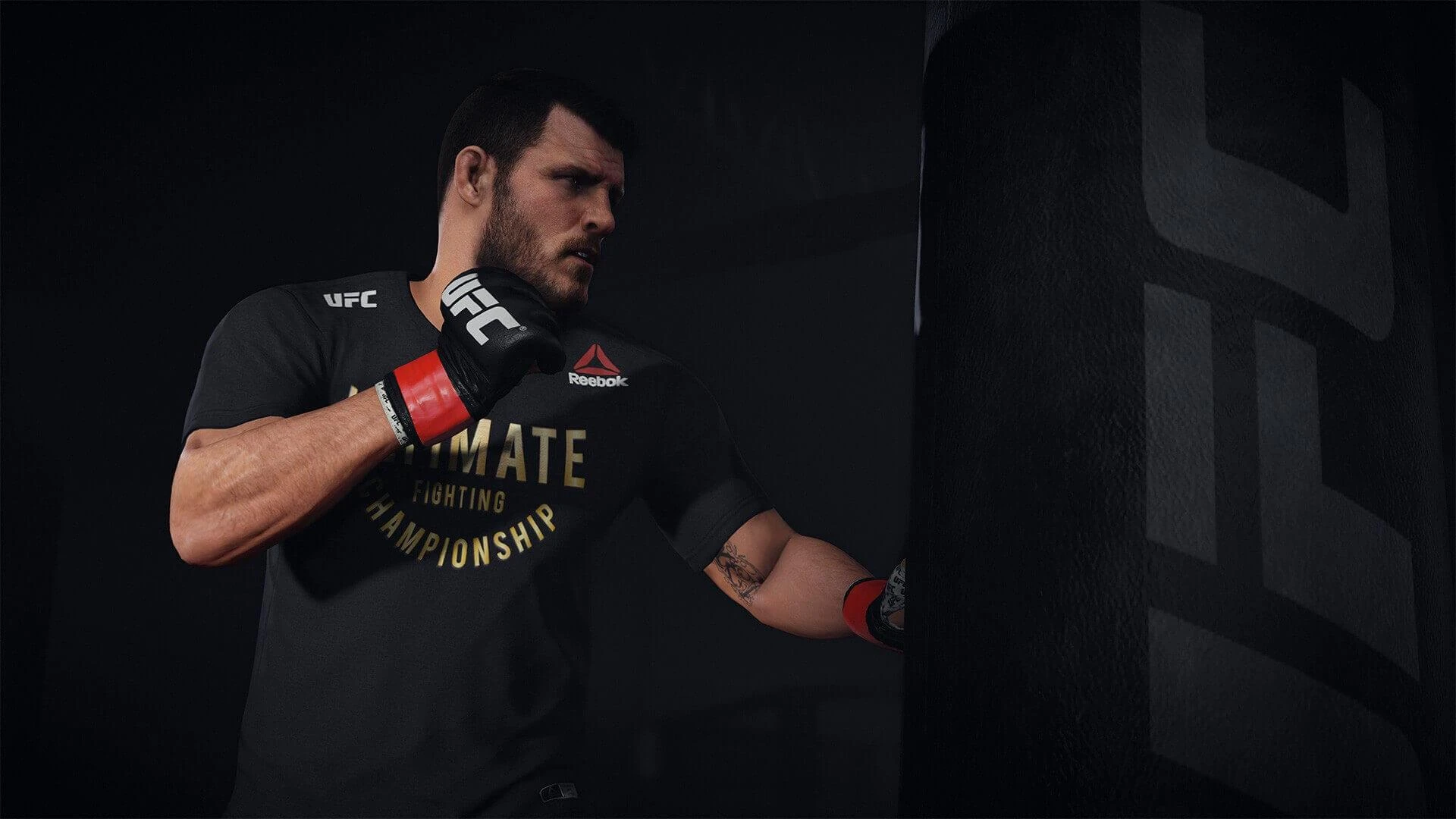 EA Sony UFC 3, PlayStation 4 Pagrindinis