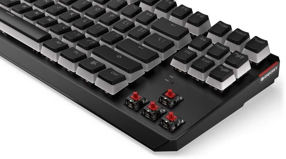 Endorfy Thock TKL belaidė mechaninė klaviatūra su RGB Pudding Edtion (US, Kailh Raudona Switch)