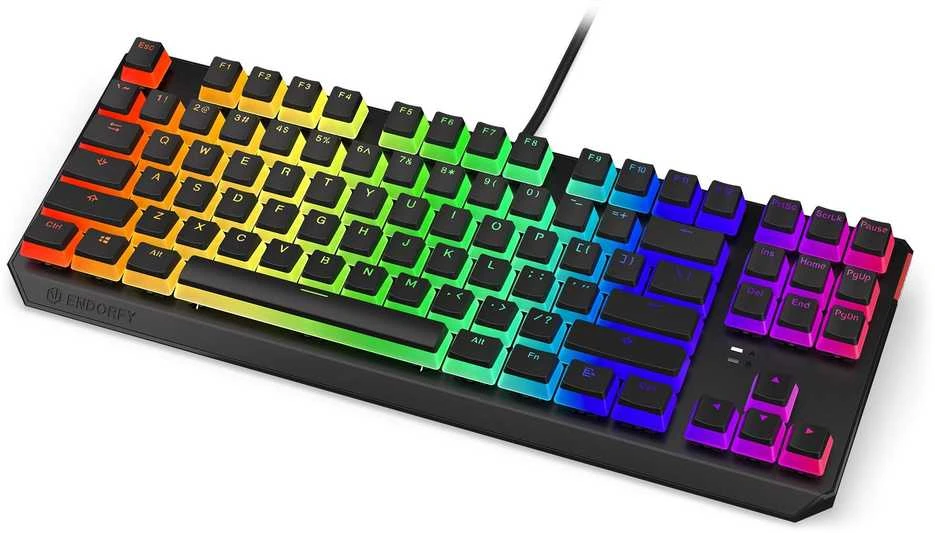 Endorfy Thock TKL belaidė mechaninė klaviatūra su RGB Pudding Edtion (US, Kailh Raudona Switch)
